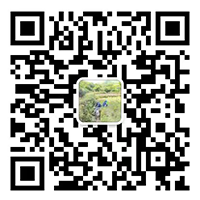 佛山市順德區至細無塵毛刷有限公司
